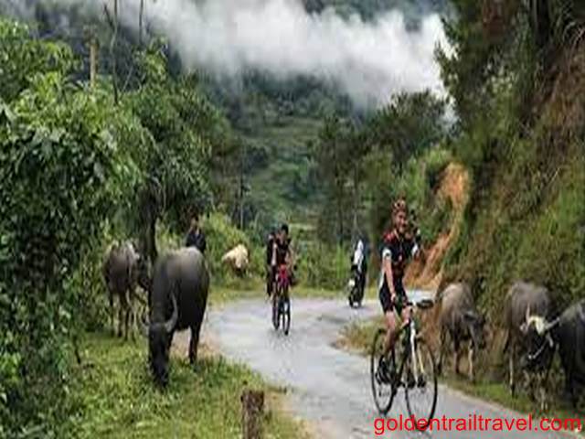 Northeast Vietnam Bike Loop 8 Days